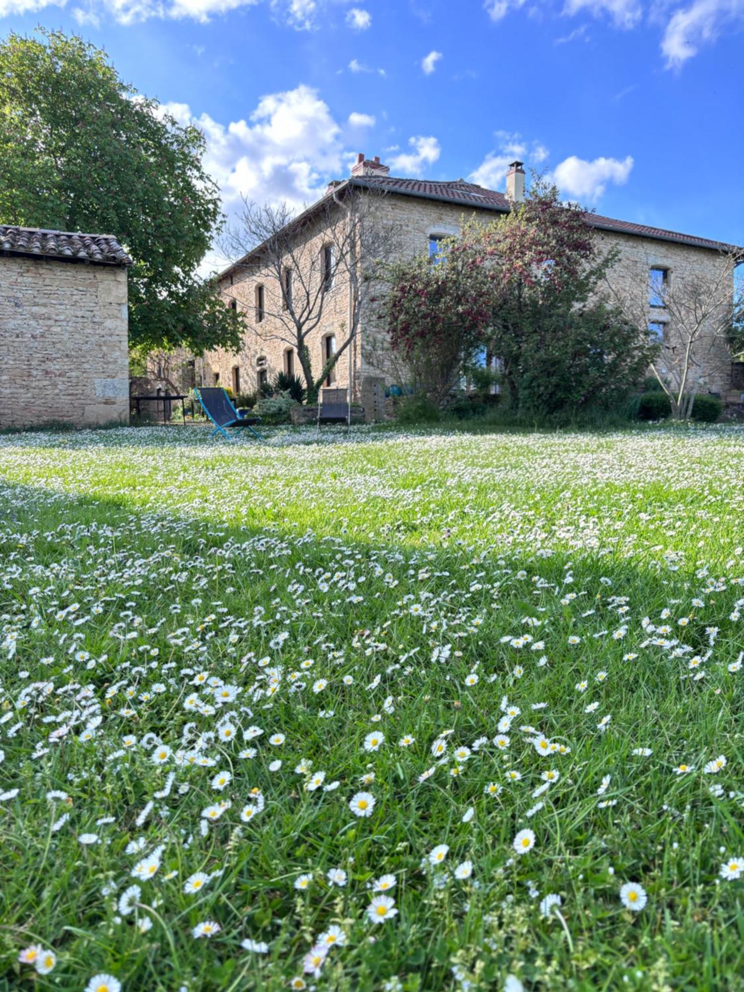 Domaine Du Vernay Mazille Dış mekan fotoğraf